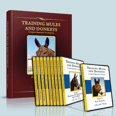 Training Mules &amp; Donkeys