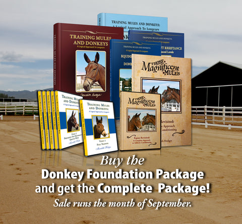 SEPTEMBER SALE! Donkey Complete Training Package for the price of the Foundation Package