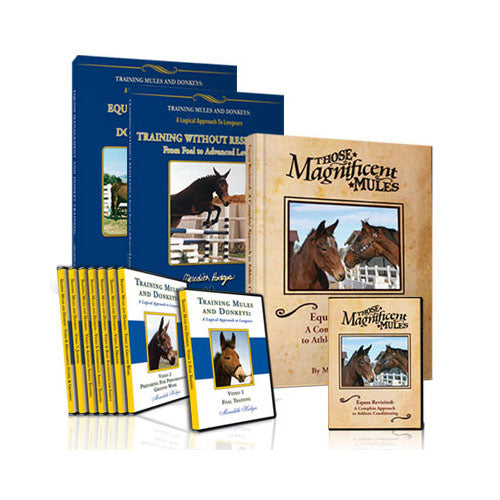 Horse & Mule Foundation Training Package