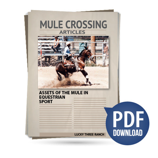 Assets of the Mule in Equestrian Sport