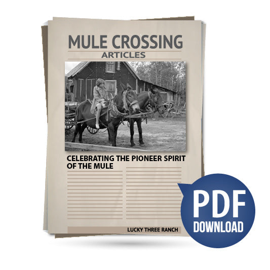 Celebrating the Pioneer Spirit of the Mule
