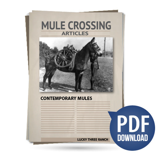 Contemporary Mules