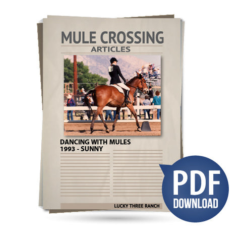 Dancing With Mules 1993 - Sunny