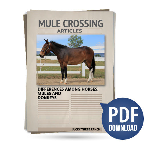 Differences Among Horses, Mules and Donkeys