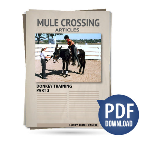 Donkey Training Part 03 - Turns