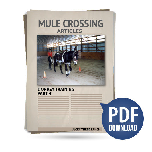 Donkey Training Part 04 -  Mounting