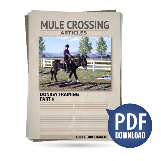 Donkey Training Part 06 - Drivelines