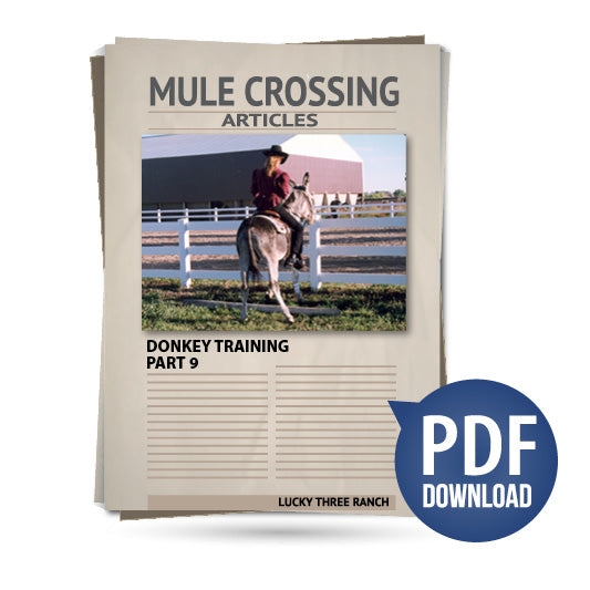 Donkey Training Part 09 - Perfecting Lateral