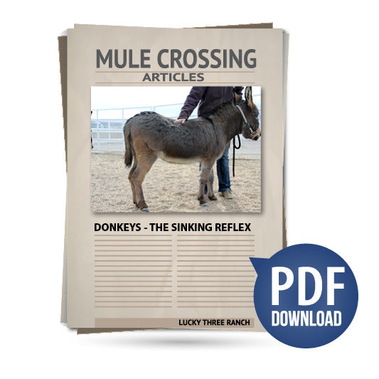 Donkeys - The Sinking Reflex