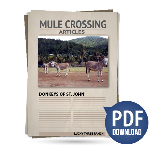 Donkeys of St. John
