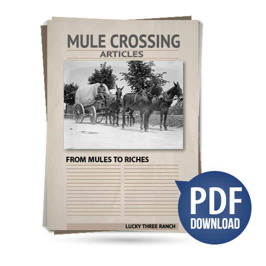 From Mules to Riches