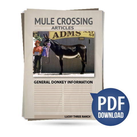 General Donkey Information