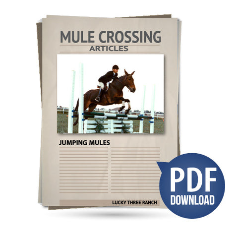 Jumping Mules