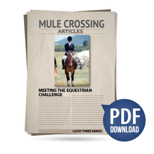 Meeting the Equestrian Challenge