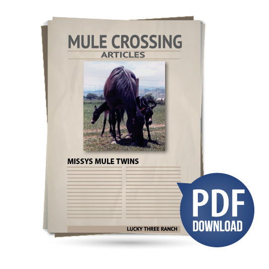 Missy's Mule Twins