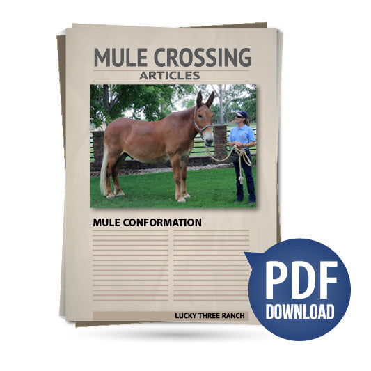 Mule Conformation