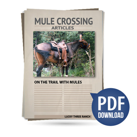 On the Trail with Mules