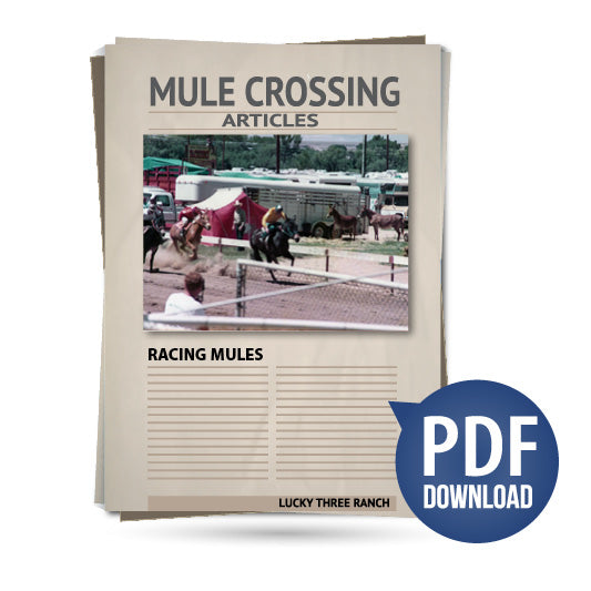 Racing Mules