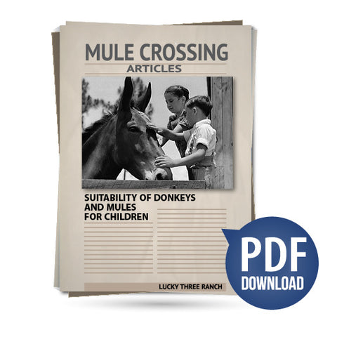 Suitability of Donkeys and Mules for Children