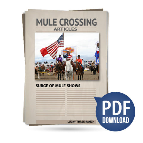 Surge of Mule Shows