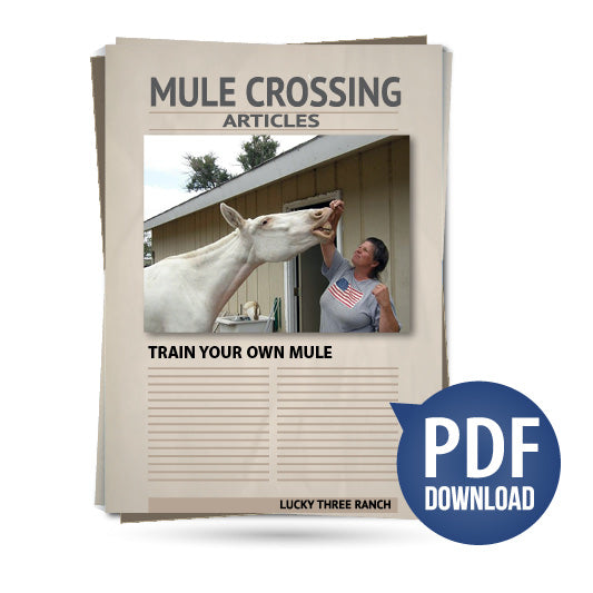 Train Your Own Mule