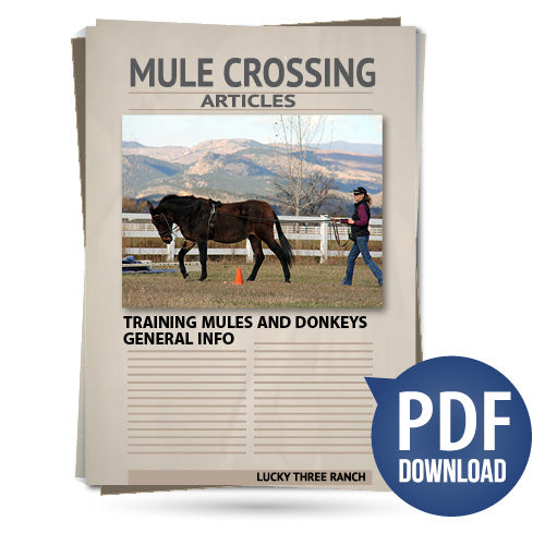 Training Mules and Donkeys General Info