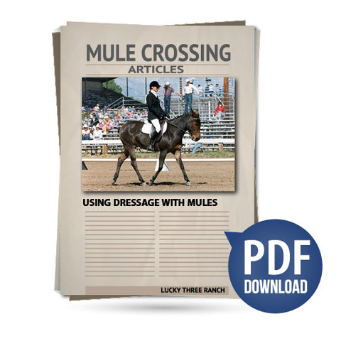 Using Dressage with Mules