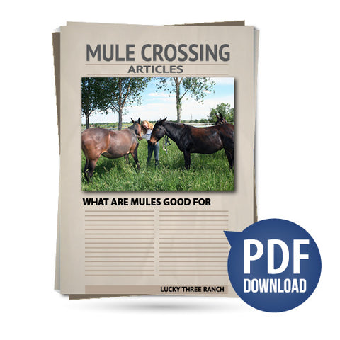 What Are Mules Good For