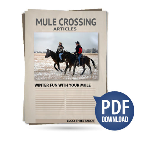 Winter Fun with Your Mule