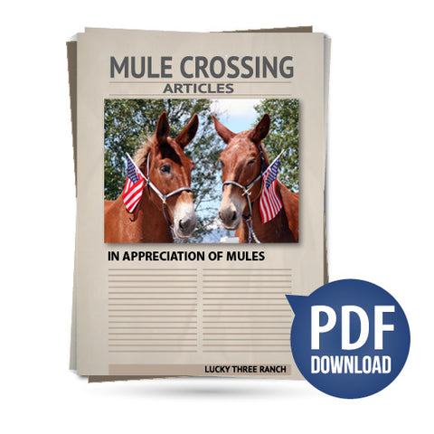 In Appreciation Of Mules