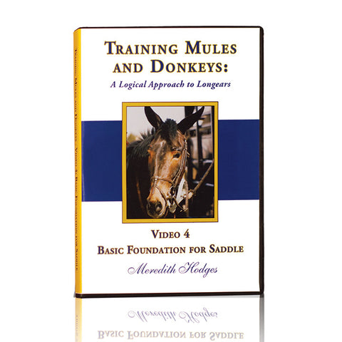 TMD DVD #4 - Basic Foundation for Saddle