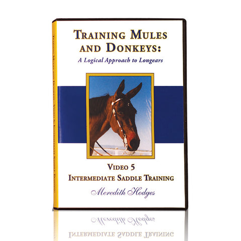 TMD DVD #5 - Intermediate Saddle Training