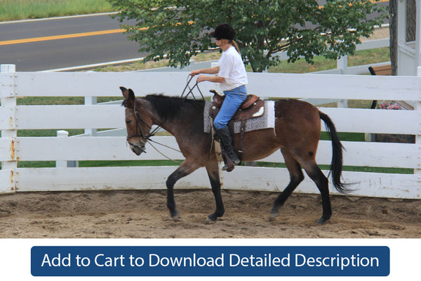 Training Tip - #072 Riding in the Round Pen Without an Assistant