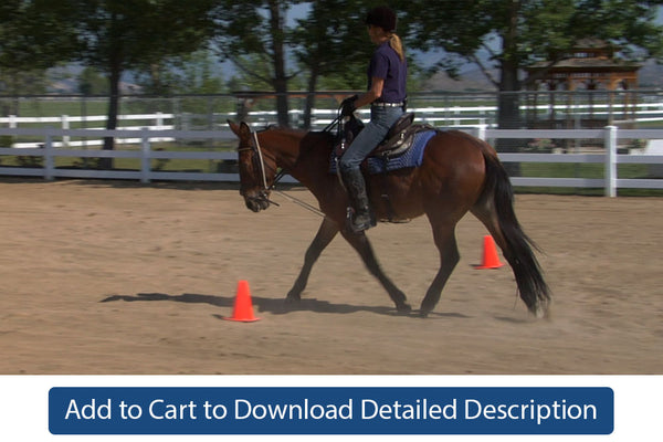 Training Tip - #075 Hourglass Pattern Under Saddle at the Walk and Trot