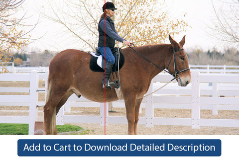 Training Tip - #083 Practice Exercises for Good Equitation