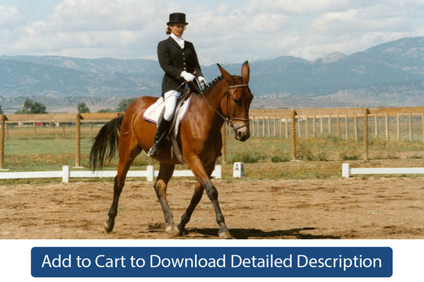 Training Tip - #090 Using Dressage as a Basis for Performance