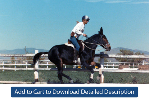 Training Tip - #099 The Canter Pole