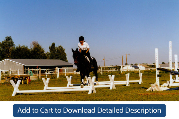 Training Tip - #100 Preliminary Cavaletti Jumping Exercises