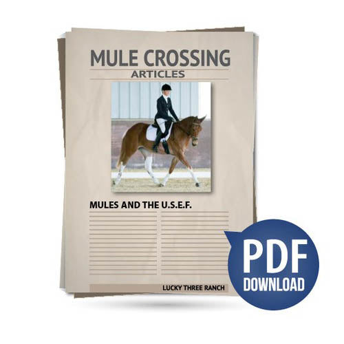 Mules and the U.S.E.F.