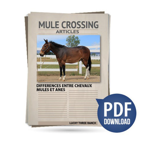 Differences entre chevaux, mules et anes
